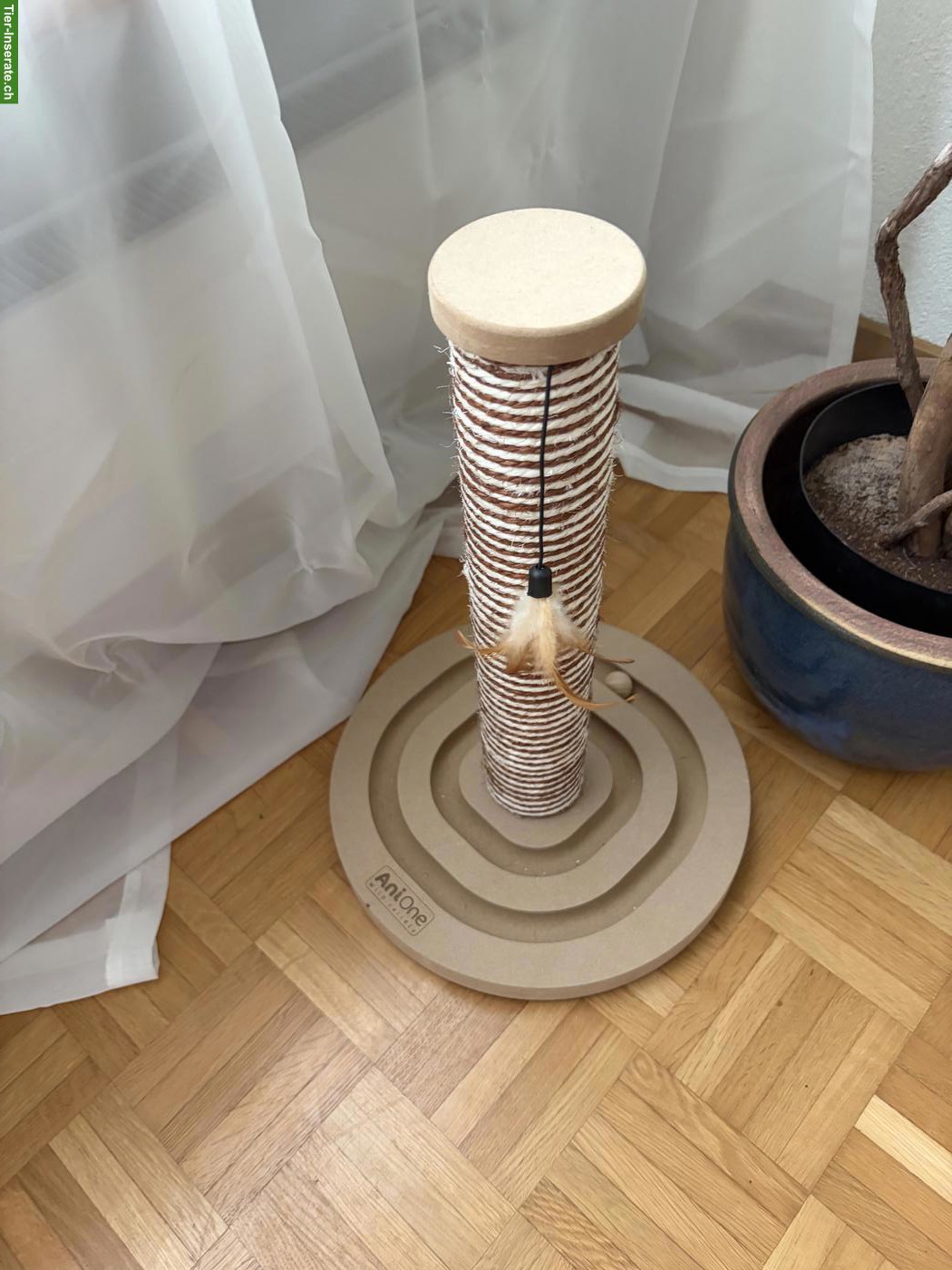 Bild 3: Katzenzubehör zu verkaufen