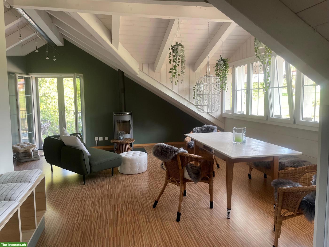 Bild 10: Möblierte Loft-Wohnung in 8340 Hinwil auf kleinem Pferdehof