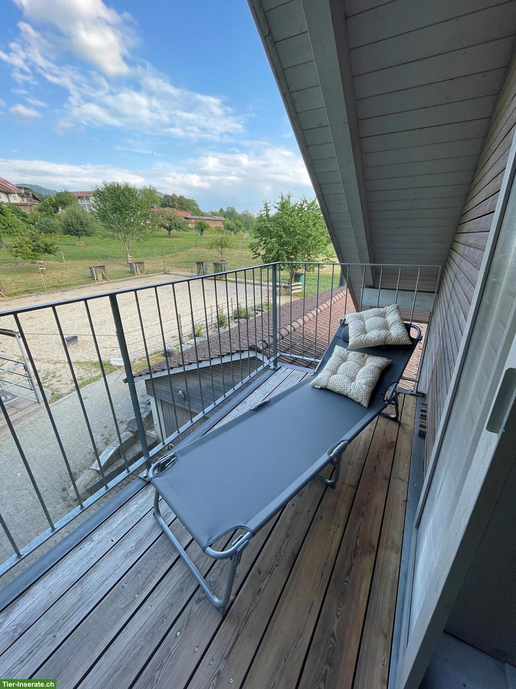 Bild 2: Möblierte Loft-Wohnung in 8340 Hinwil auf kleinem Pferdehof