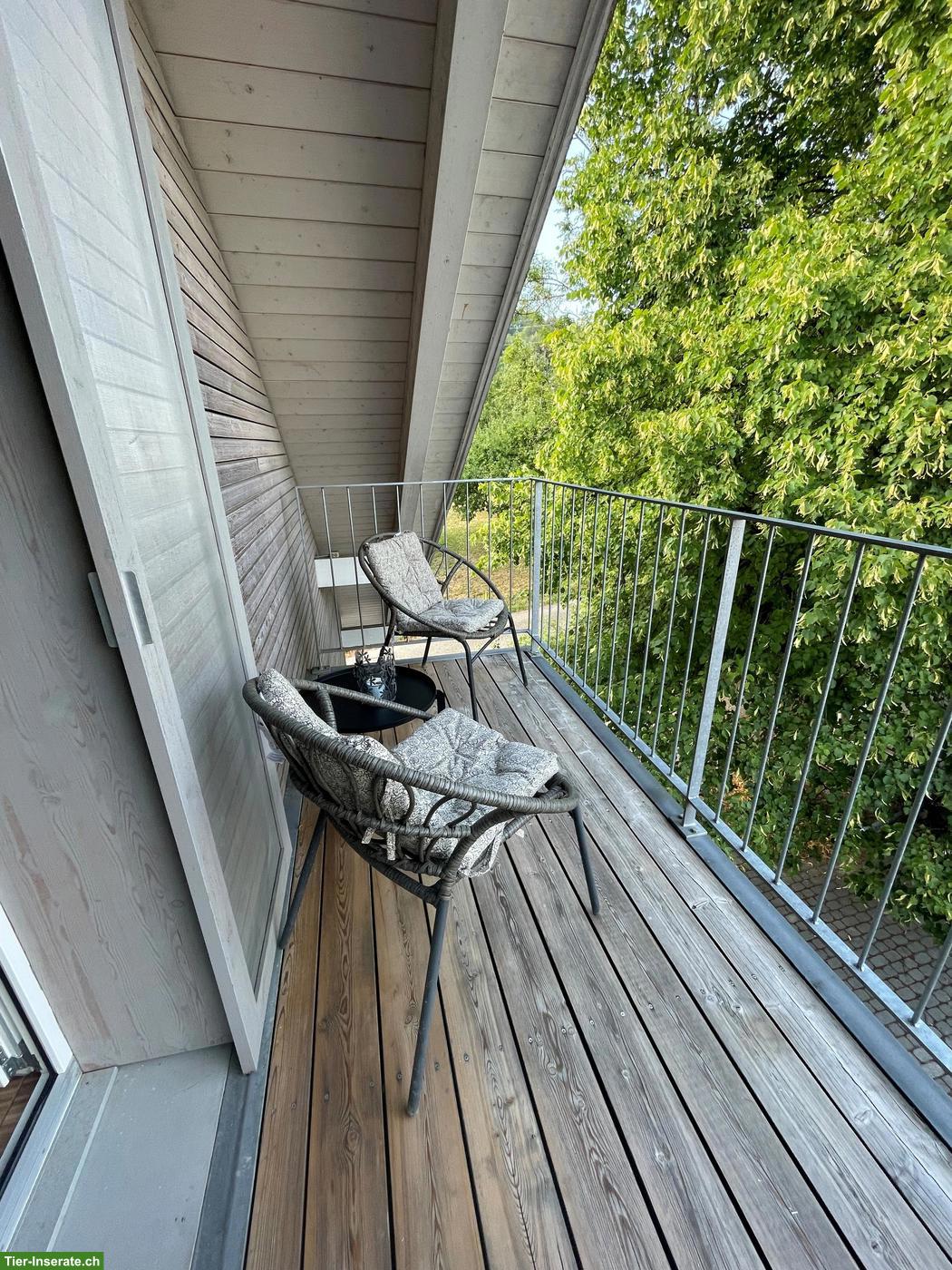 Bild 3: Möblierte Loft-Wohnung in 8340 Hinwil auf kleinem Pferdehof