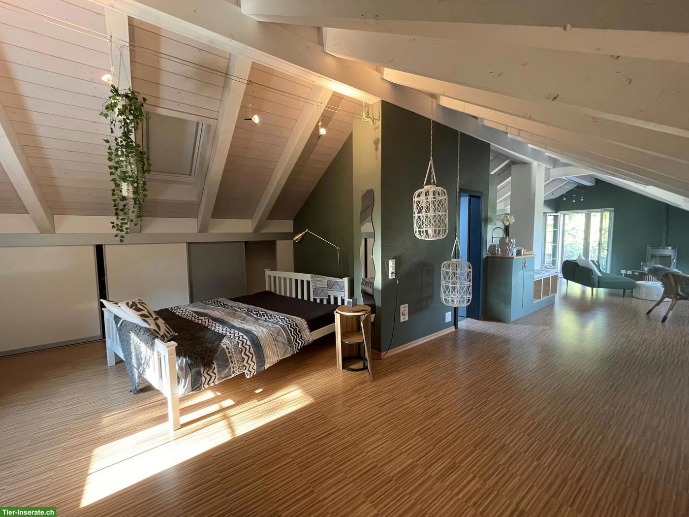 Bild 4: Möblierte Loft-Wohnung in 8340 Hinwil auf kleinem Pferdehof