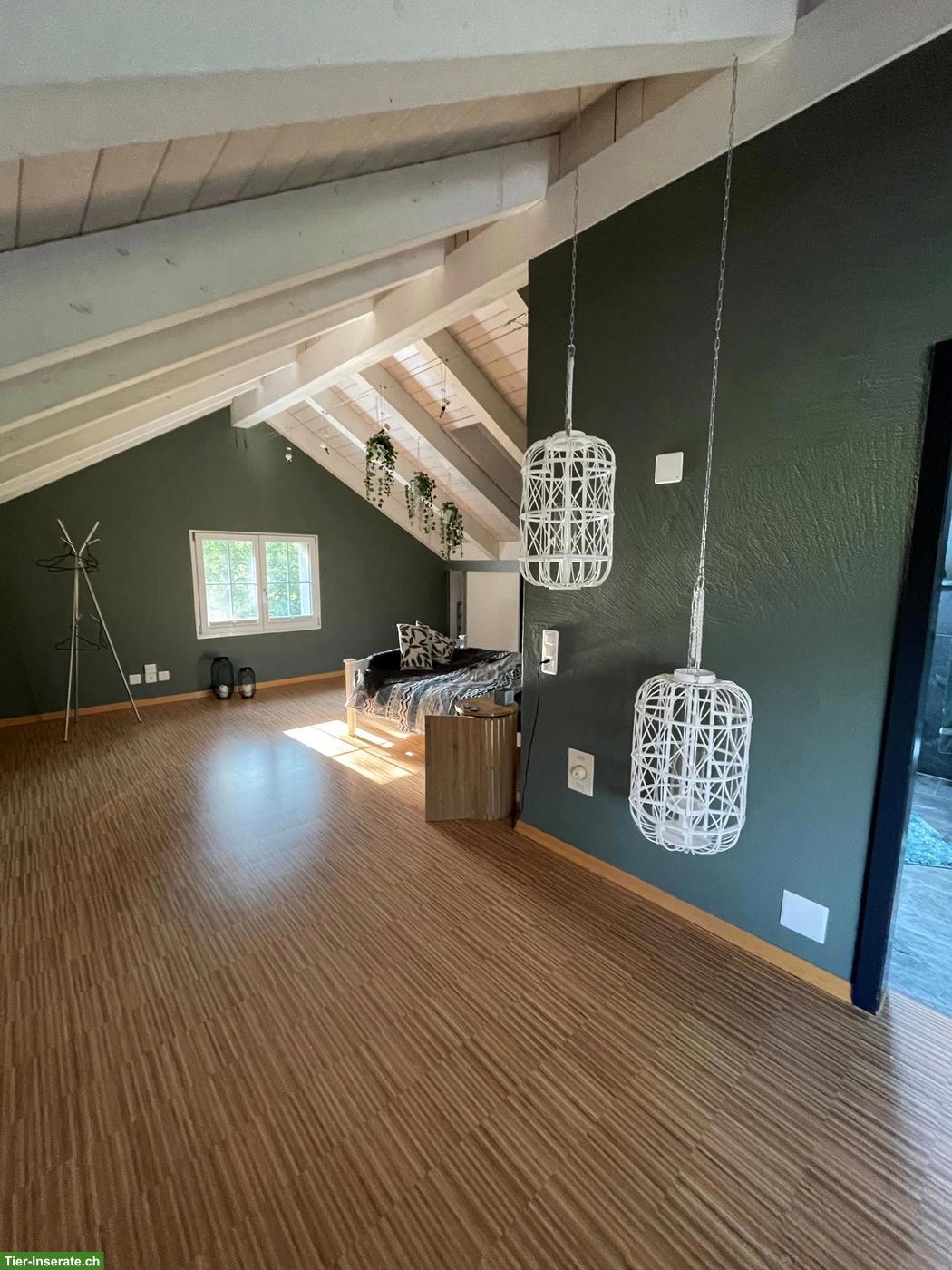 Bild 5: Möblierte Loft-Wohnung in 8340 Hinwil auf kleinem Pferdehof