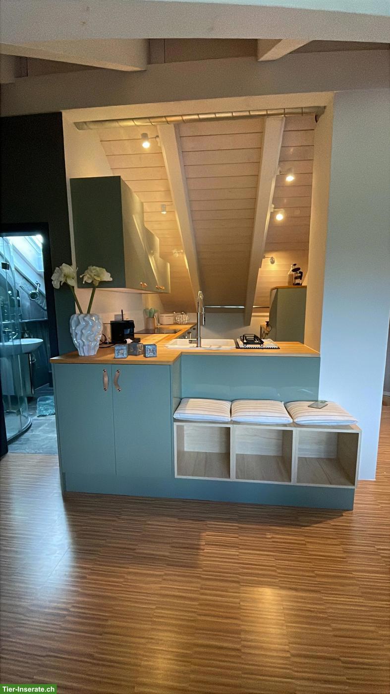 Bild 7: Möblierte Loft-Wohnung in 8340 Hinwil auf kleinem Pferdehof