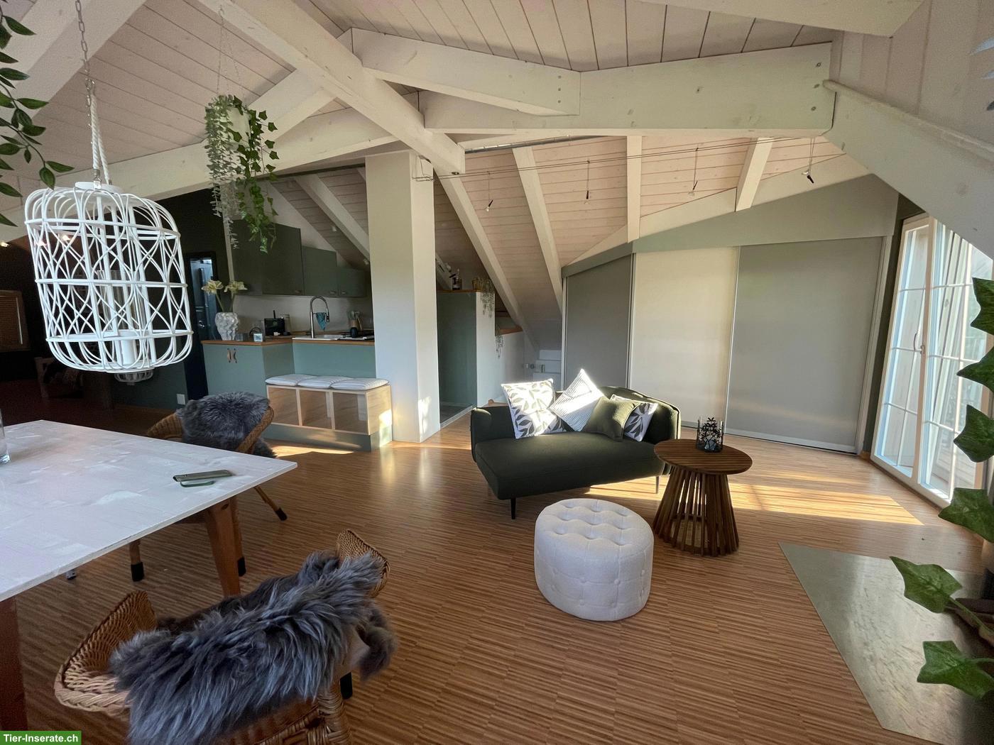 Bild 8: Möblierte Loft-Wohnung in 8340 Hinwil auf kleinem Pferdehof