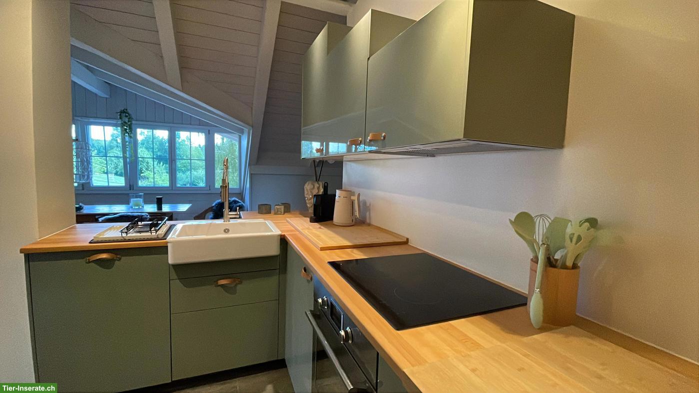 Bild 9: Möblierte Loft-Wohnung in 8340 Hinwil auf kleinem Pferdehof