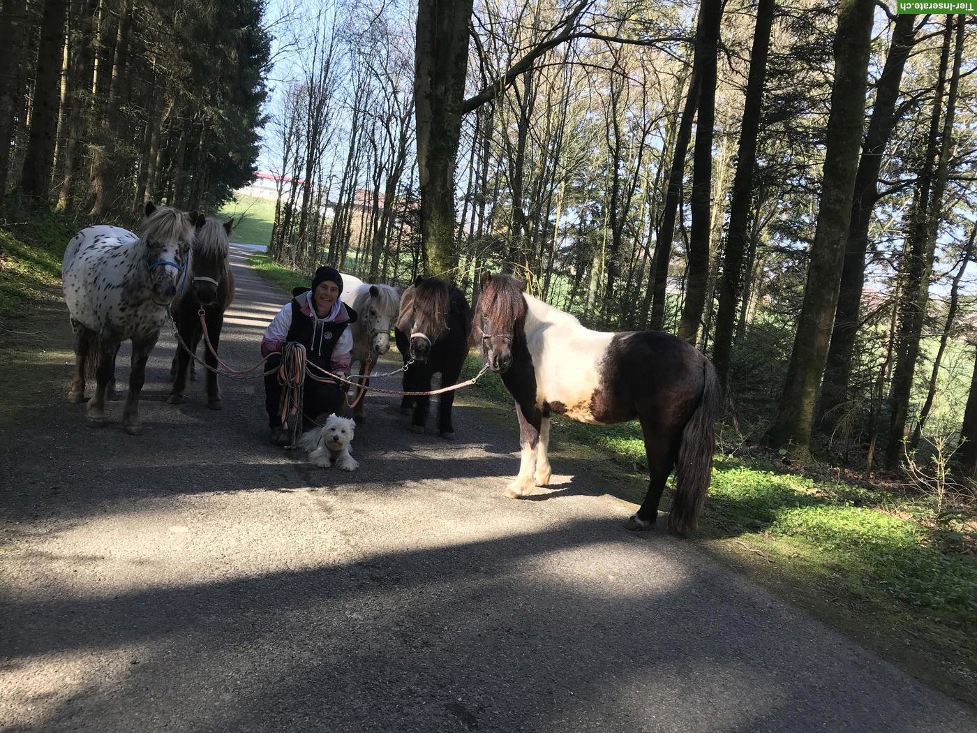 Das Leben ist ein Ponyhof, eine ganze Woche