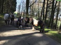 Das Leben ist ein Ponyhof, eine ganze Woche