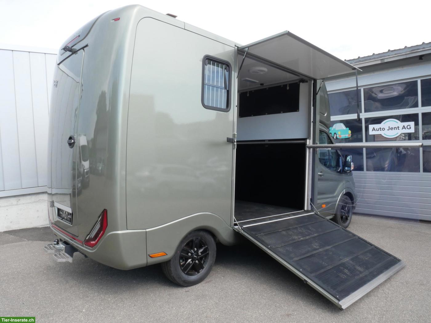 Bild 2: FORD Sodiak Luxury Horsetrucks Pferdetransporter Selbstfahrer