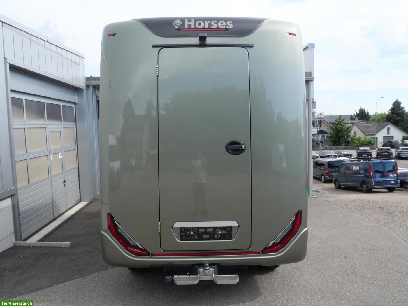 Bild 3: FORD Sodiak Luxury Horsetrucks Pferdetransporter Selbstfahrer