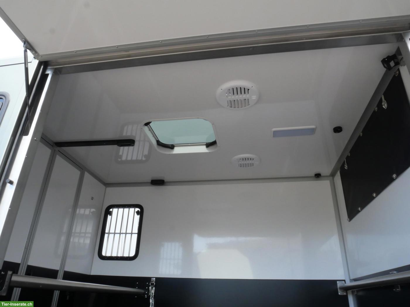 Bild 5: FORD Sodiak Luxury Horsetrucks Pferdetransporter Selbstfahrer