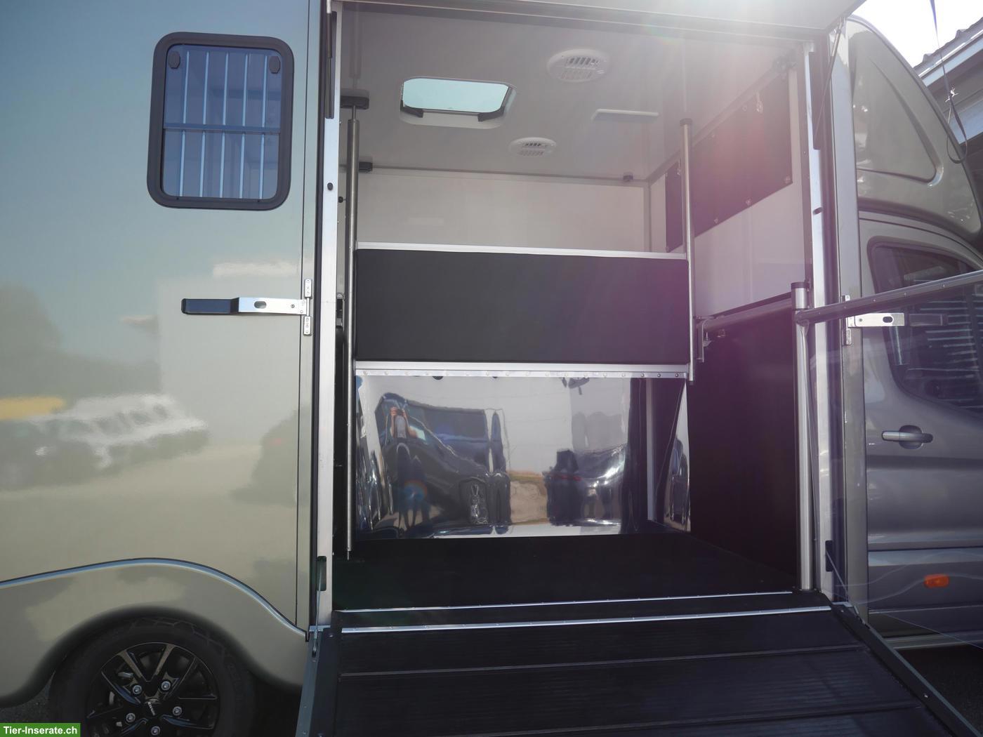 Bild 6: FORD Sodiak Luxury Horsetrucks Pferdetransporter Selbstfahrer
