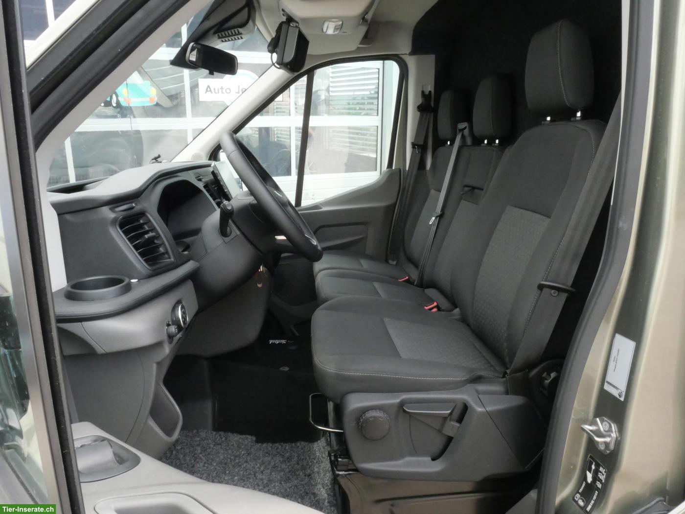 Bild 9: FORD Sodiak Luxury Horsetrucks Pferdetransporter Selbstfahrer