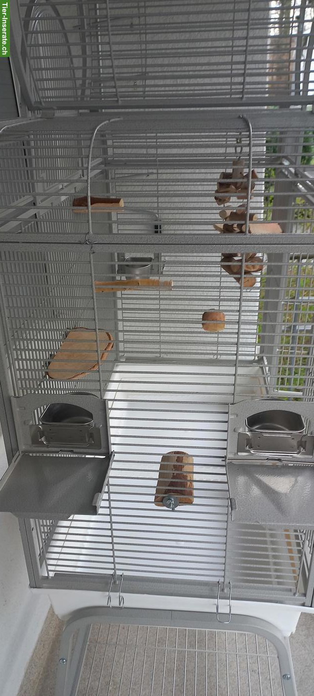 Bild 3: Schöner Vogelkäfig für Papageien & Sittiche