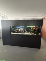 Modernes Design-Aquarium zu verkaufen