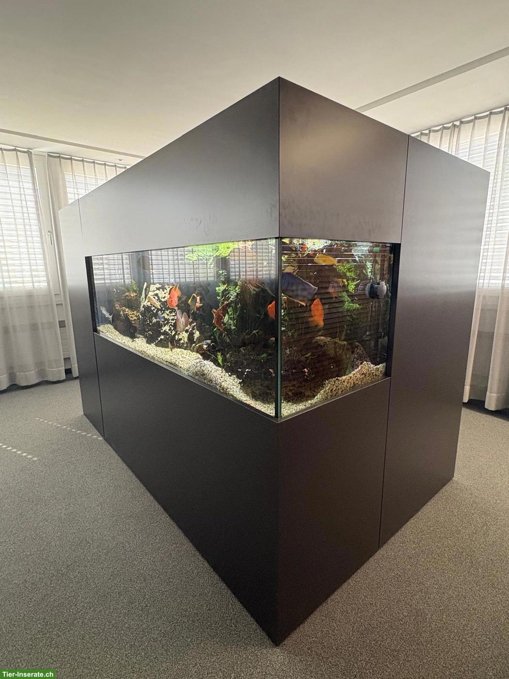 Bild 2: Modernes Design-Aquarium zu verkaufen