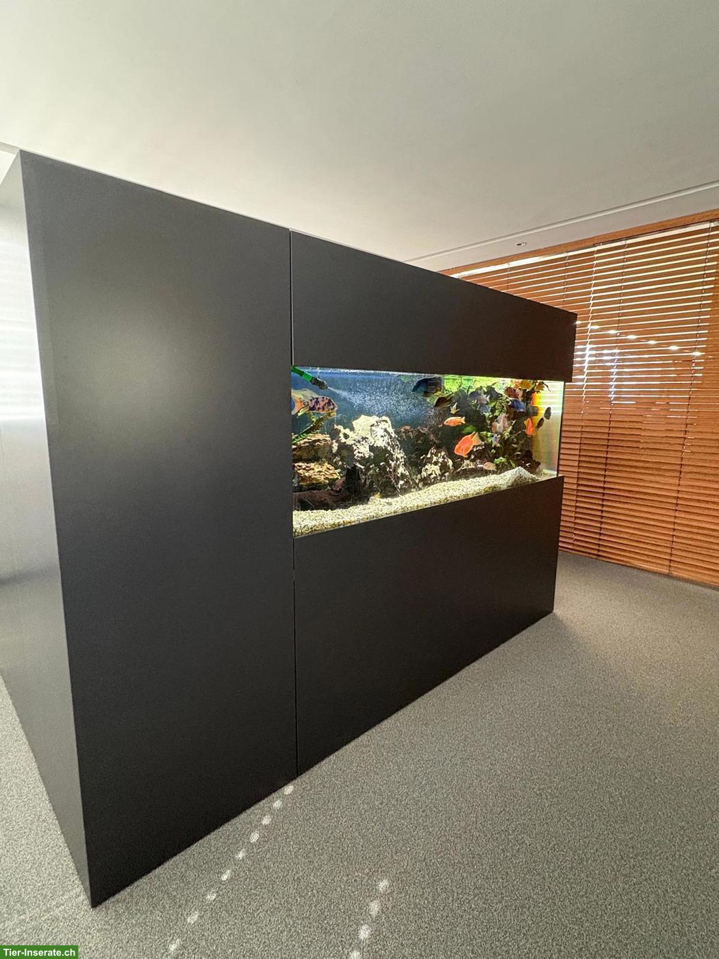 Bild 3: Modernes Design-Aquarium zu verkaufen