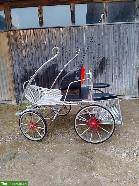 Bild 3: Ponykutsche Marathonwagen zu verkaufen