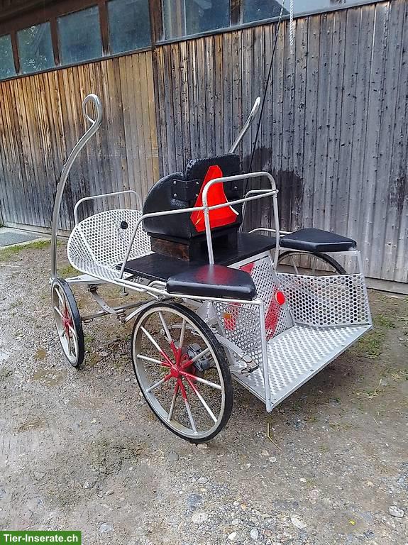 Bild 4: Ponykutsche Marathonwagen zu verkaufen