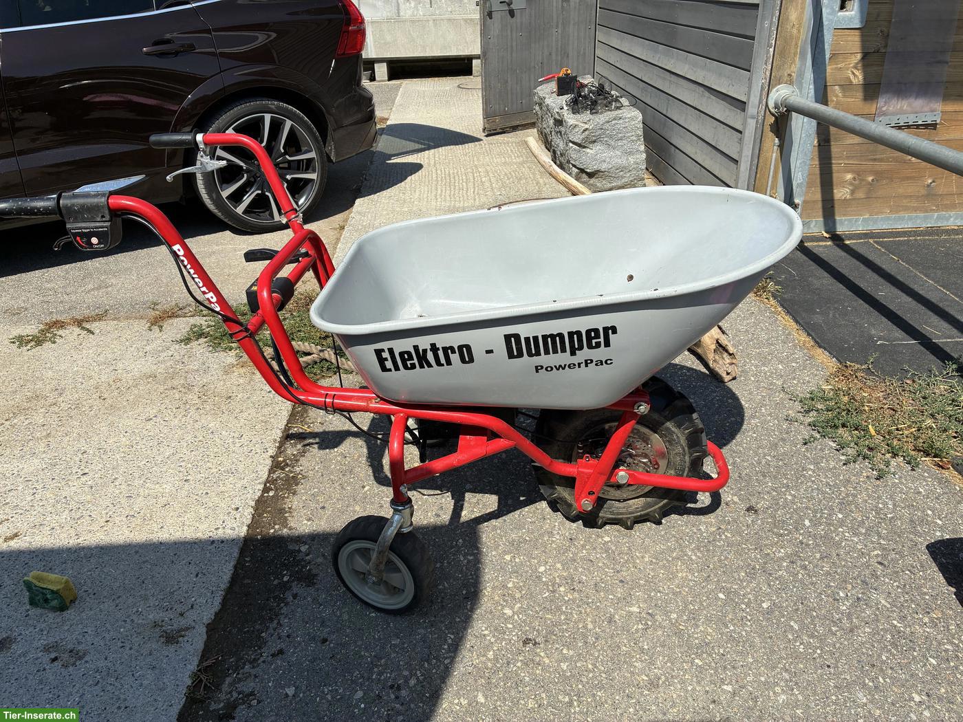 Elektro Dumper mit starkem Akku zu verkaufen