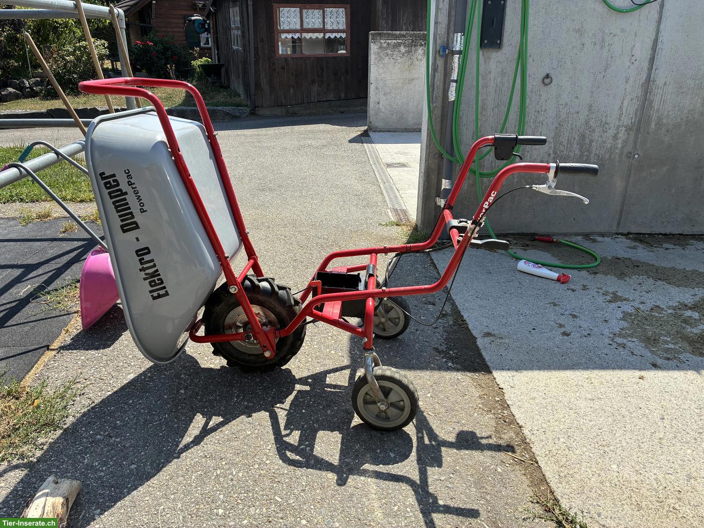 Bild 2: Elektro Dumper mit starkem Akku zu verkaufen