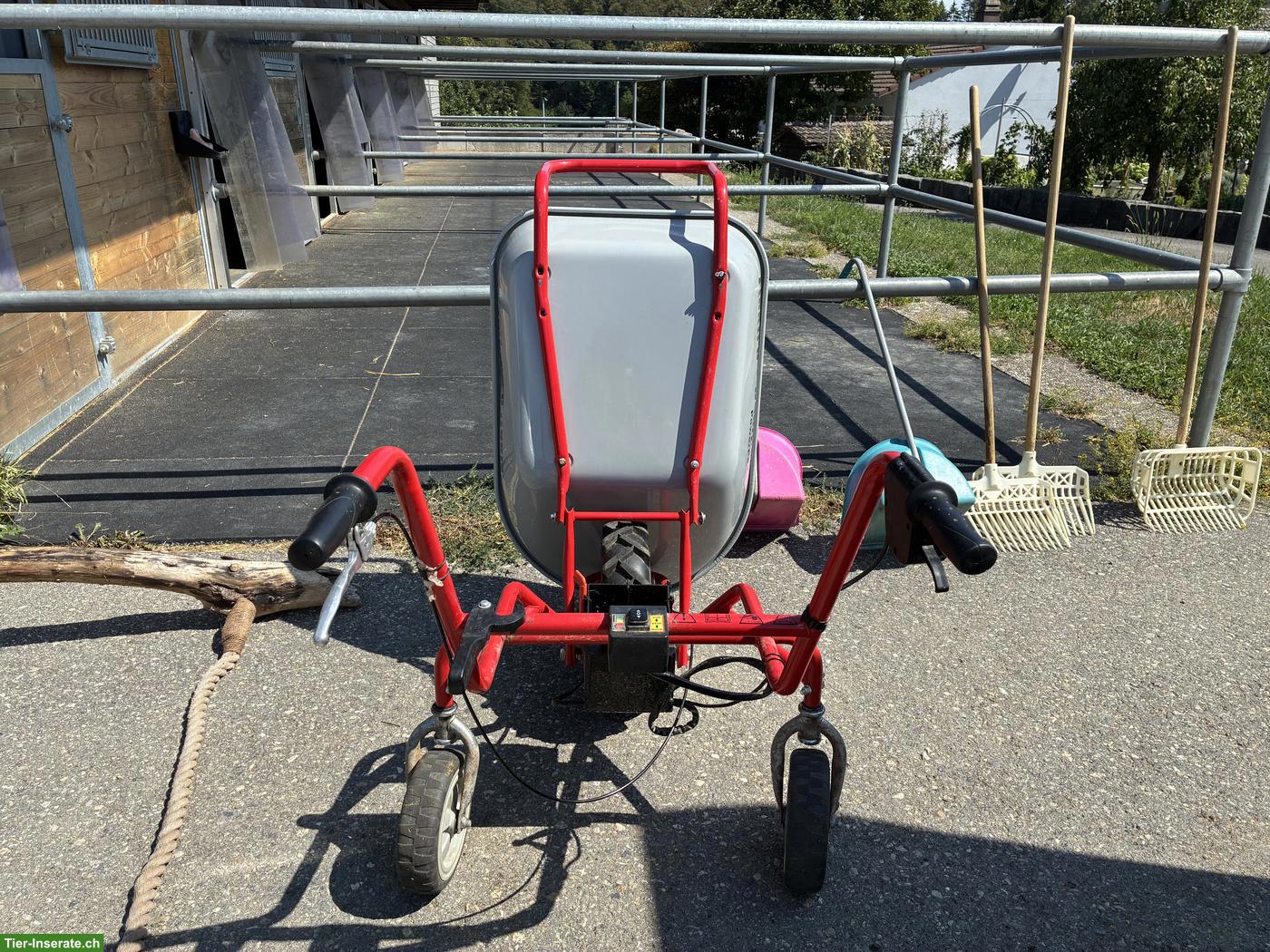 Bild 3: Elektro Dumper mit starkem Akku zu verkaufen