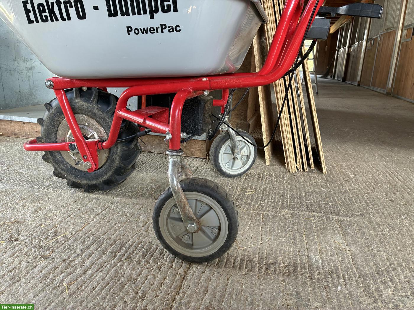 Bild 6: Elektro Dumper mit starkem Akku zu verkaufen