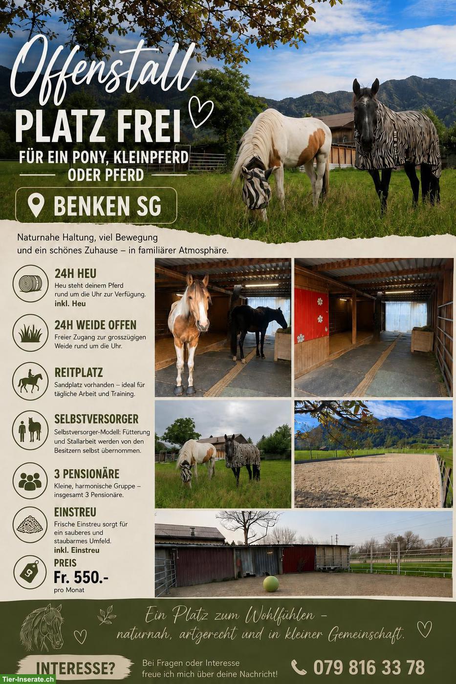 Offenstall Plätze frei in Benken SG, Linthgebiet
