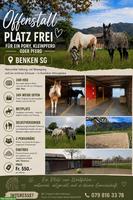 Offenstall Plätze frei in Benken SG, Linthgebiet