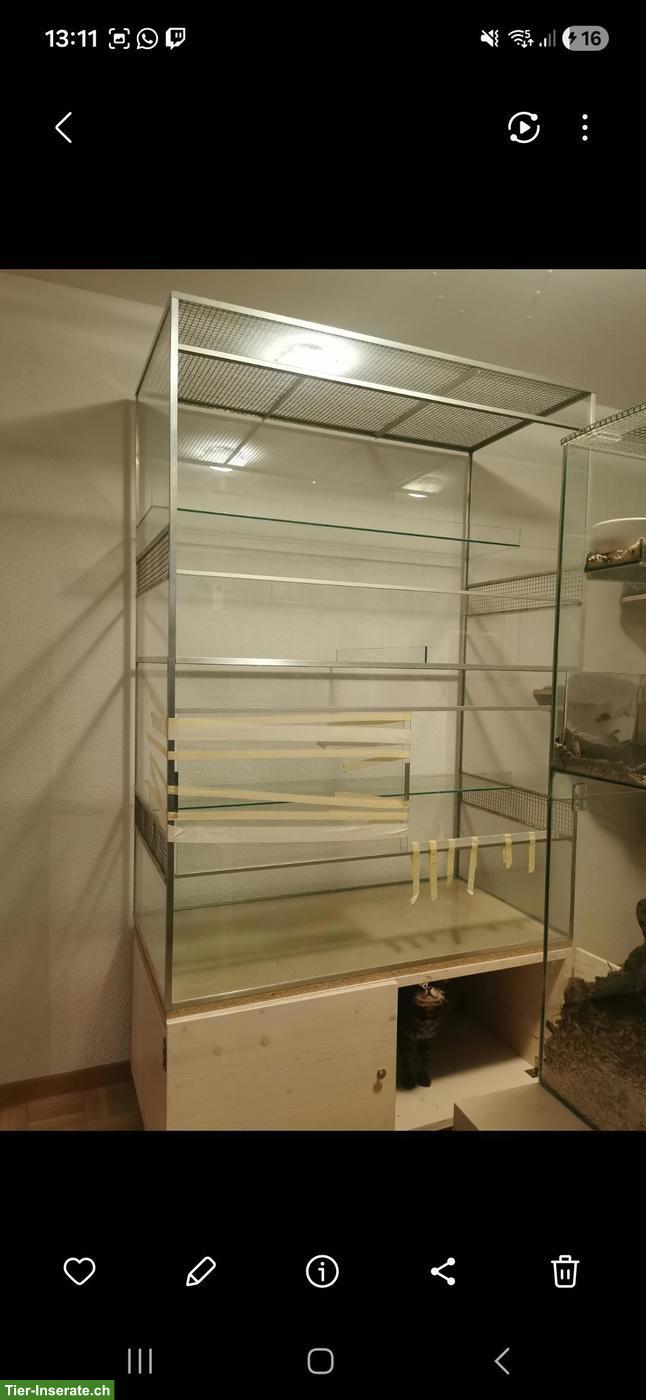 Bild 3: Degu-Terrarium in Top Zustand zu verkaufen