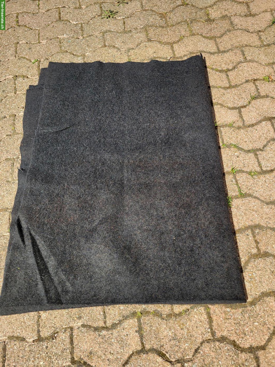 Schwarze Offiziersatteldecke, Wolle