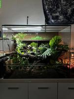 Grosses Terrarium zu verkaufen