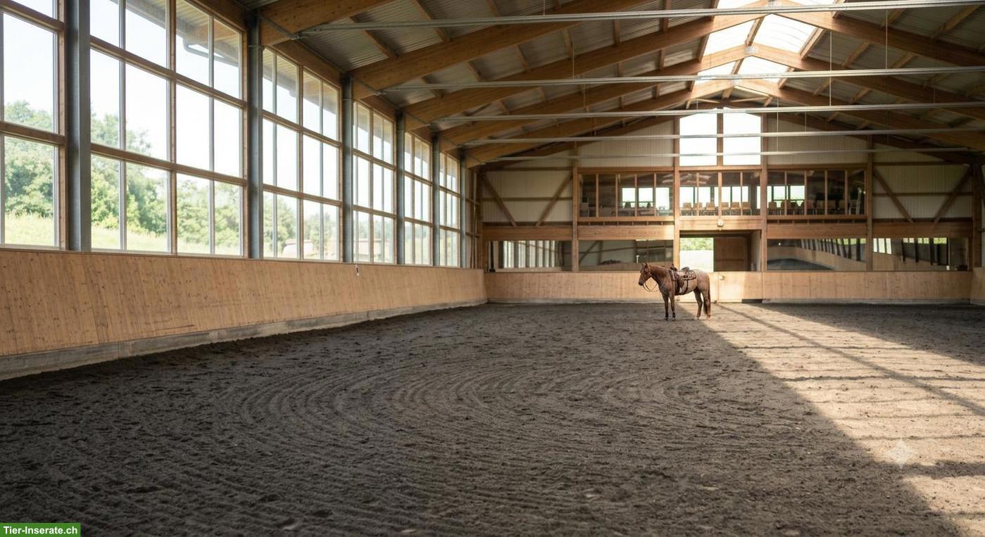 Suche Reithalle/Viereck zur Nutzung, Umkreis Bronschhofen SG