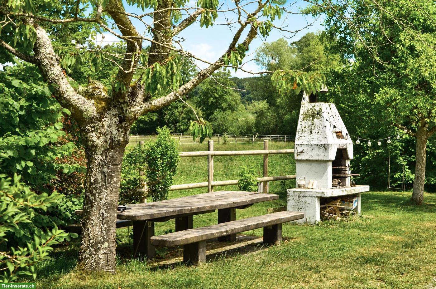 Bild 6: Historisches Pferdeparadies im Elsass