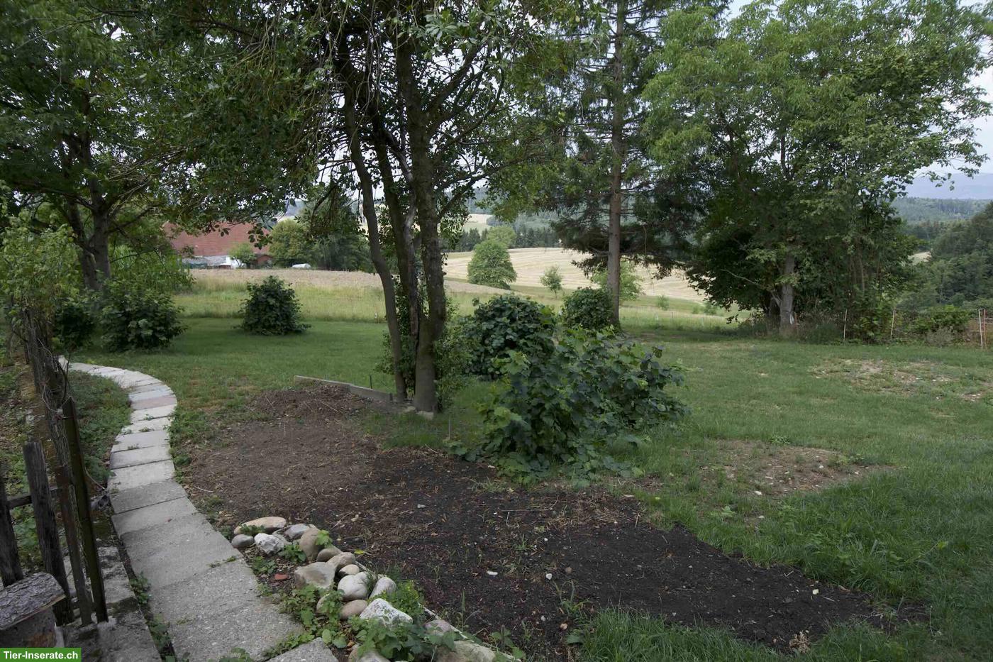 Bild 10: Idyllisches Bauernhaus mit 5.5 Zimmern an ruhiger Lage in Brittnau
