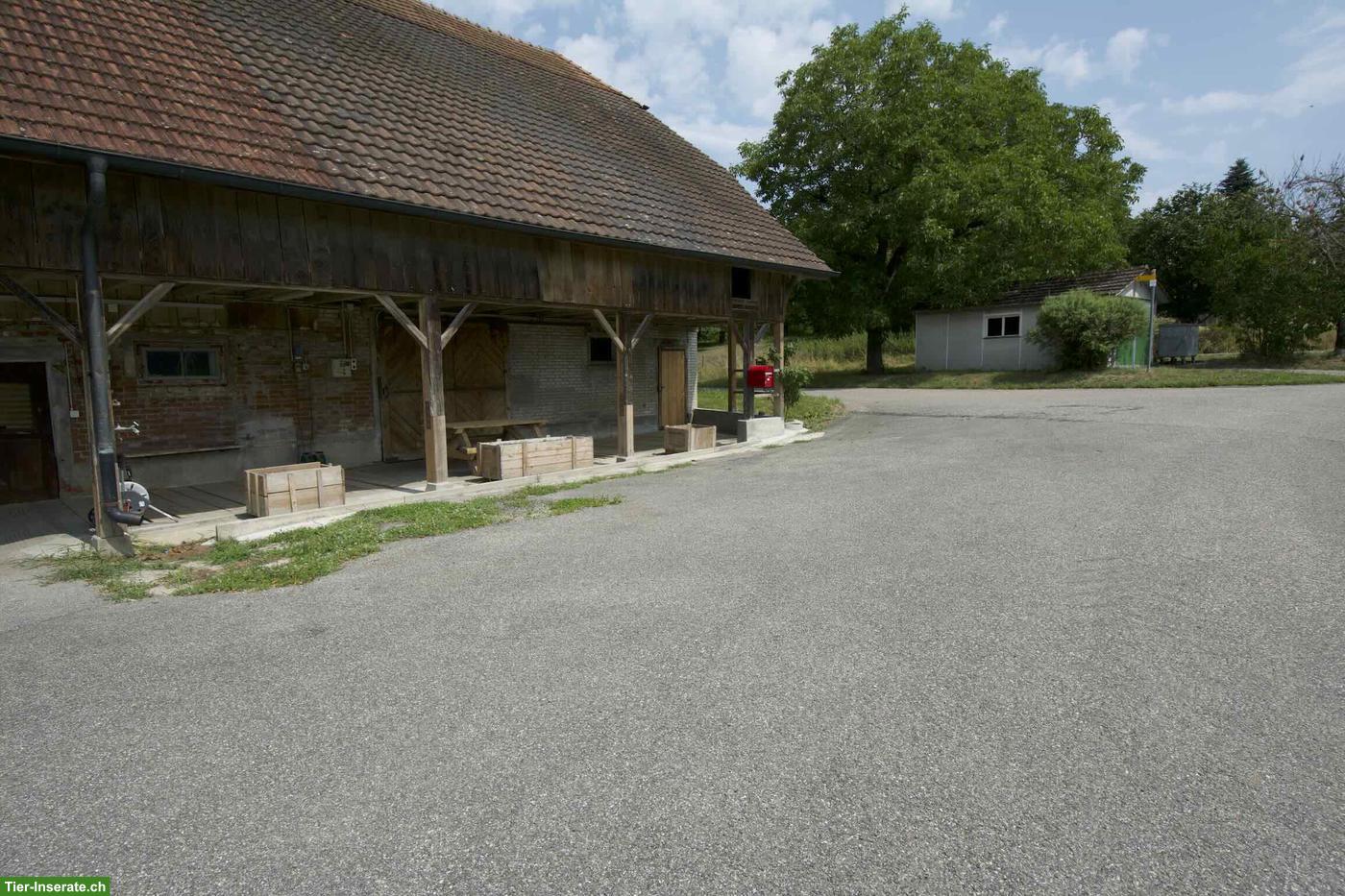 Bild 8: Idyllisches Bauernhaus mit 5.5 Zimmern an ruhiger Lage in Brittnau