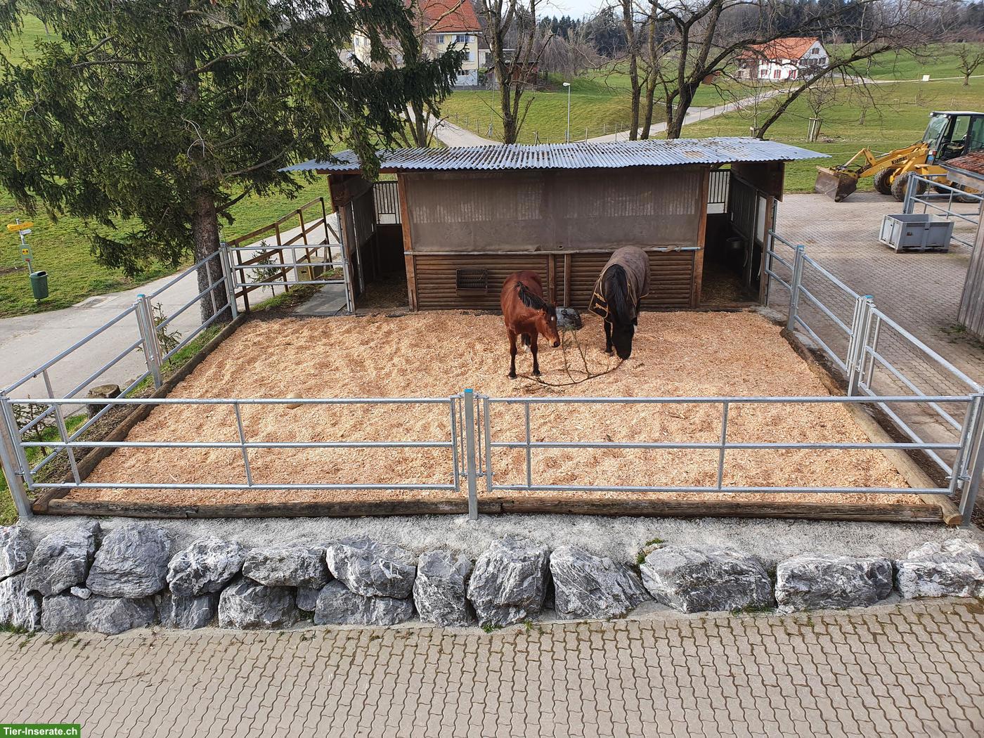 Bild 7: Einzelboxe mit Auslauf und Gruppenweide in Freidorf TG