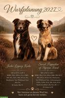 Australian Shepherd | Wurfplanung 2027
