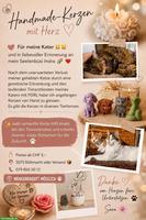 Handmade Tier-Kerzen für Tierarztkasse
