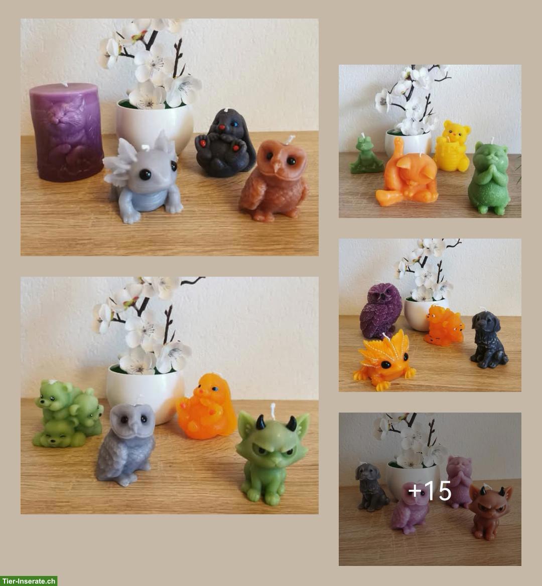 Bild 6: Handmade Tier-Kerzen für Tierarztkasse
