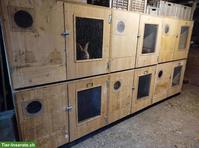 Kaninchenstall mit 8 Boxen zu verkaufen