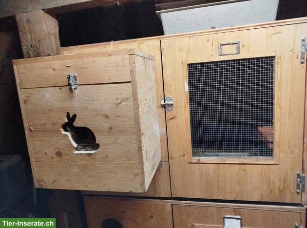 Bild 2: Kaninchenstall mit 8 Boxen zu verkaufen