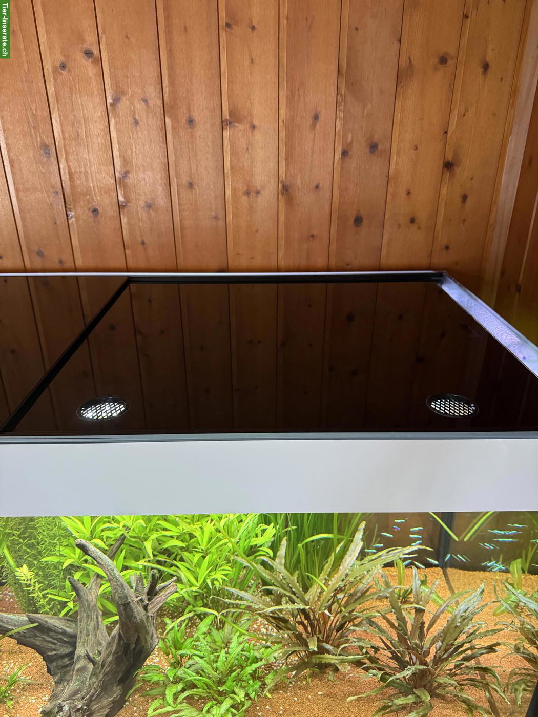Bild 7: Aquarium Eheim incpiria 430 mit allem Zubehör