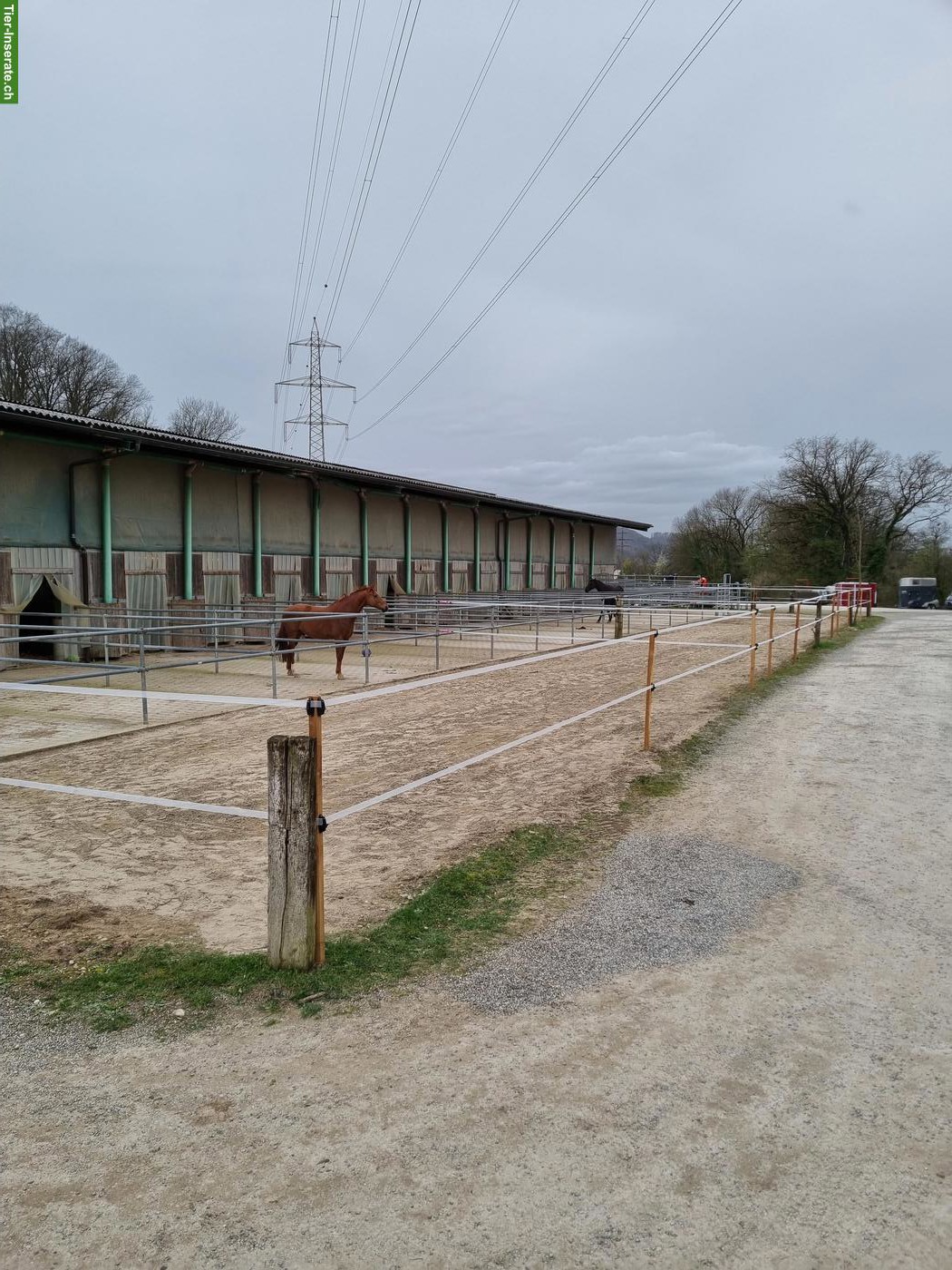 Bild 4: Grosse Auslaufboxe zu vermieten