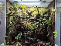 Tropenterrarium inkl. Technik zu verkaufen