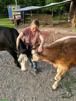 Ehrenamtliche Stallhilfe für kleinen Lebenshof gesucht (Region SO)