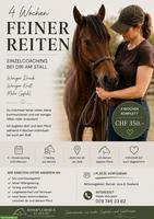Feiner Reiten - 4 Wochen Programm