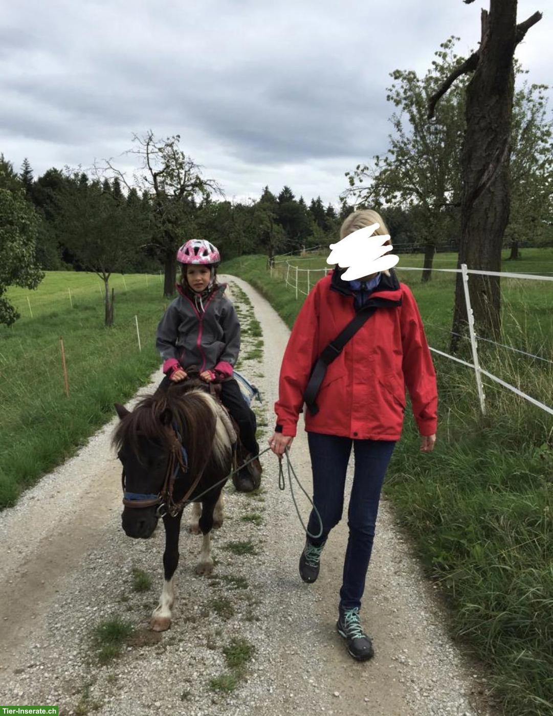 Bild 7: Suche Reitbeteiligung in Umgebung Bern