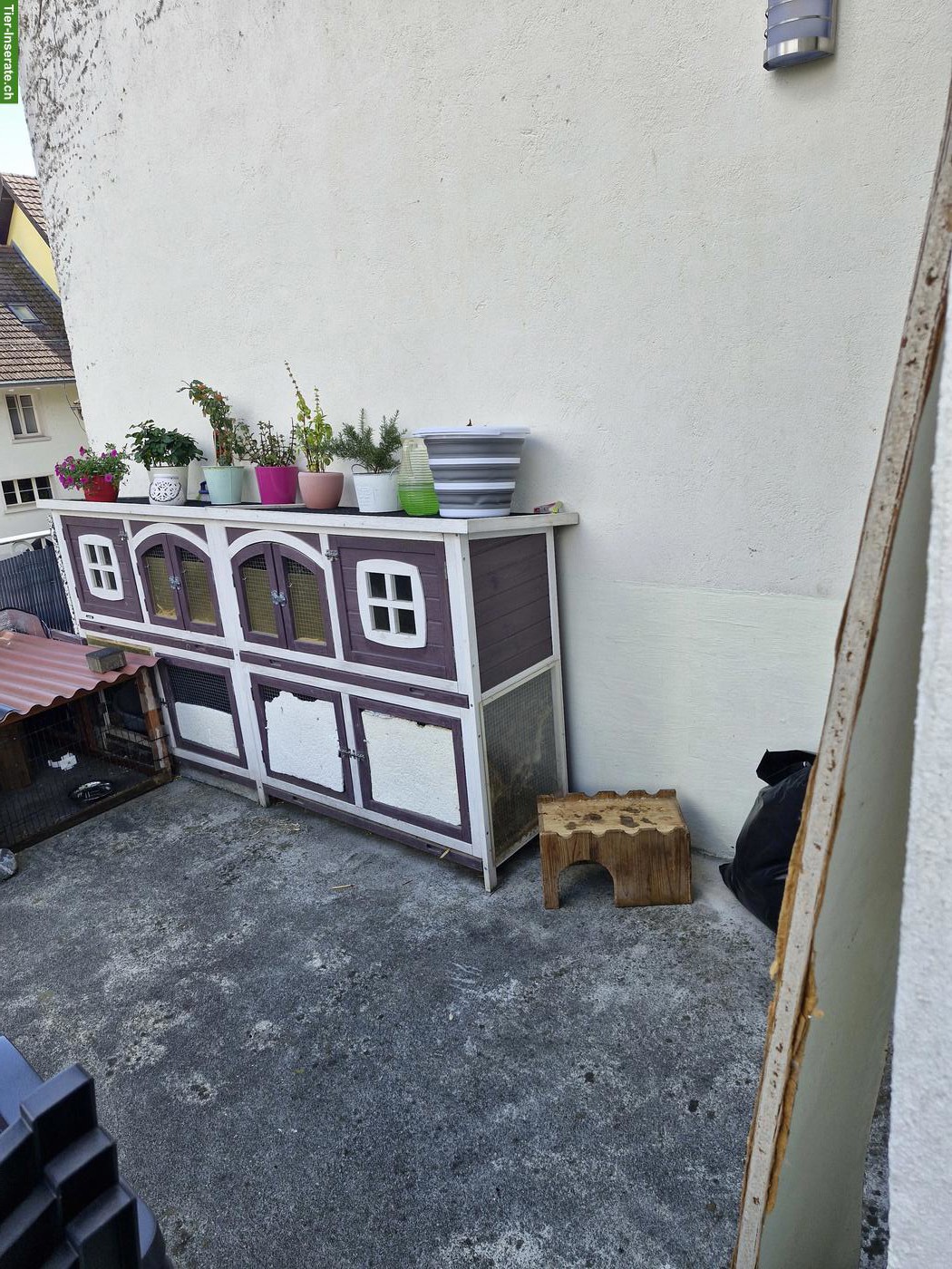 Bild 2: Kaninchenstall zu verschenken