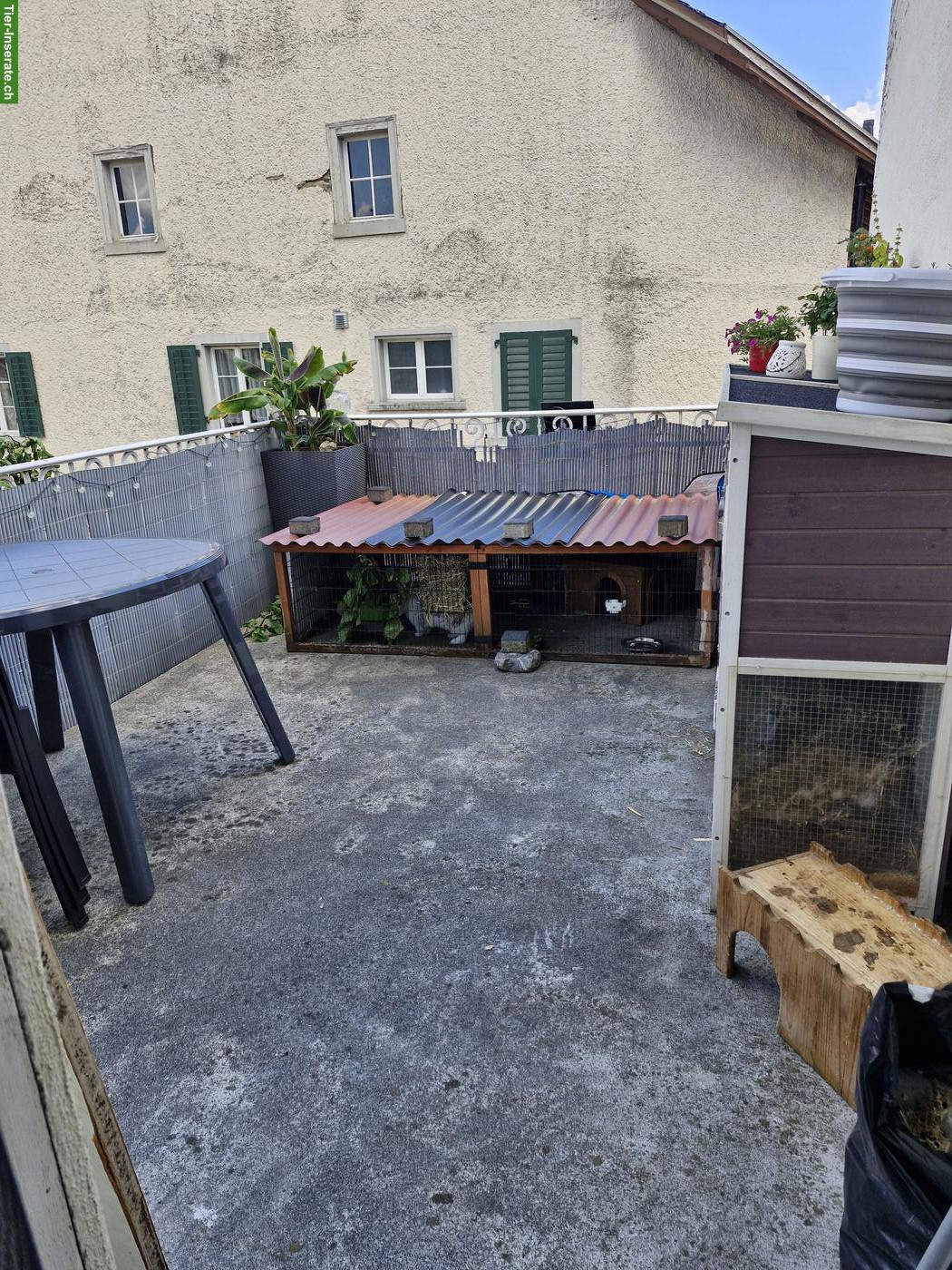 Bild 8: Kaninchenstall zu verschenken