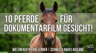 Aufruf: Mitwirken an einer Dokumentation über Pferdetraining